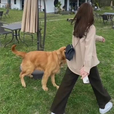 双子镇